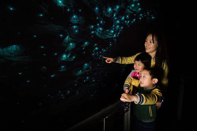 Waitomo Glowworm Caves and Kiwi House Small Group from Auckland - Otorohanga Lunch Stop: Good Timing, Just Plan for the Meal