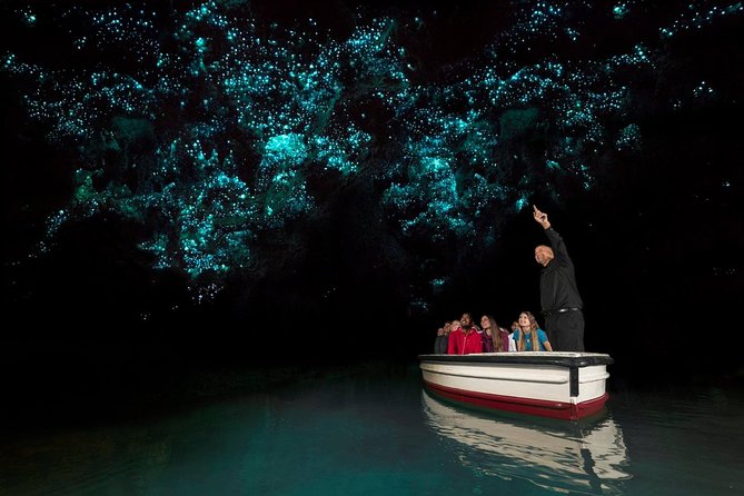 Waitomo Glowworm Caves Guided Tour - The On-Foot Cave Start: Cathedral Cave and Stepping Into the Dark