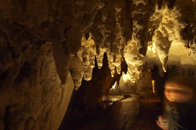 Waitomo Glowworm Caves In a Private Small Group Tour-Auckland. - Why this private Waitomo day feels easier than DIY