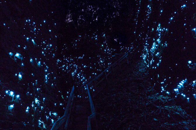 Waitomo Glowworm Caves In a Private Small Group Tour-Auckland. - The Waitomo cave route: upper dry sections to the lower Cathedral area