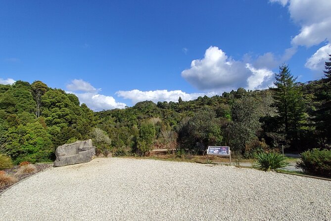 Waitomo Glowworm & Ruakuri Twin Cave Experience - Small Group Tour From Auckland - The Drive Stops That Make the Day Easier (and More Interesting)