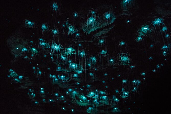 Waitomo Glowworm & Ruakuri Twin Cave Small Group Tour Ex-Auckland - Key points worth knowing before you go
