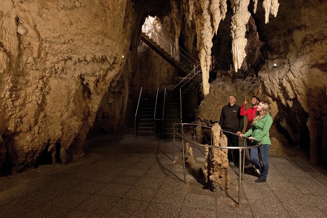 Waitomo Glowworm & Ruakuri Twin Cave Small Group Tour Ex-Auckland - Ruakuri Cave: Cathedral Cave Acoustics and a Longer Walk Underground