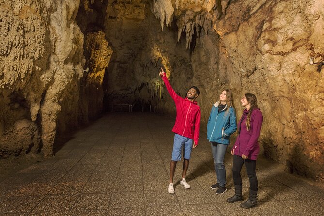 Waitomo Glowworm & Ruakuri Twin Cave Small Group Tour Ex-Auckland - What Makes the Two-Cave Combo Feel Worth It