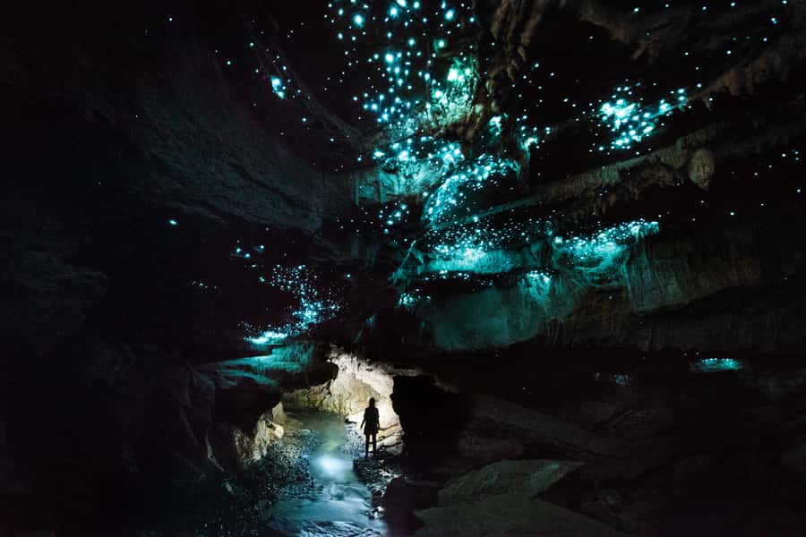 Waitomo: Guided Eco-Cave Tour - First Stop: Meeting at 1199 Oparure Road, Te Kuiti