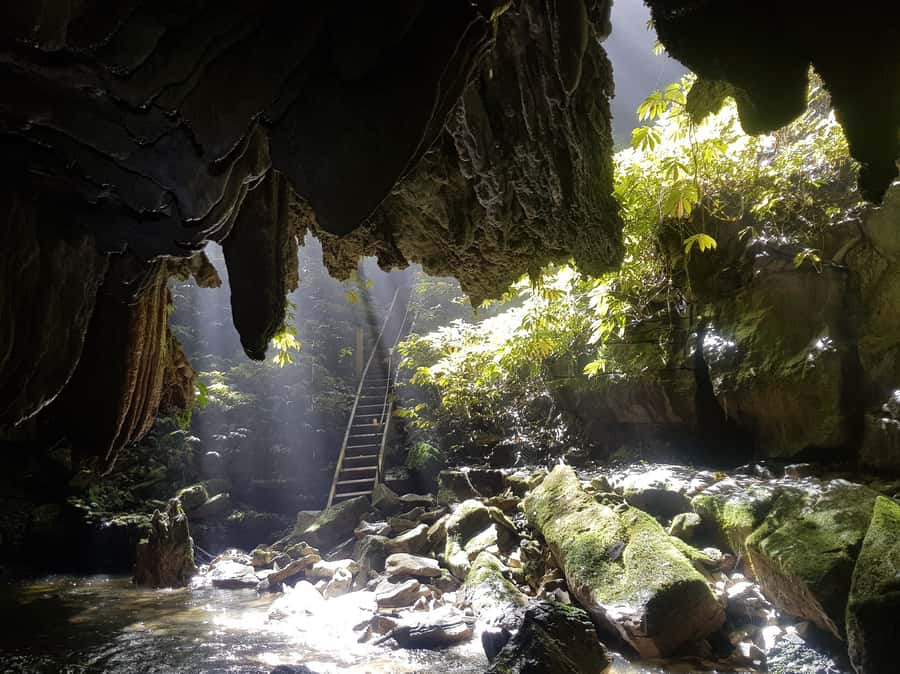Waitomo: Guided Eco-Cave Tour - Safety Briefing and Gear Up: Boots, Clothing, and How It Works