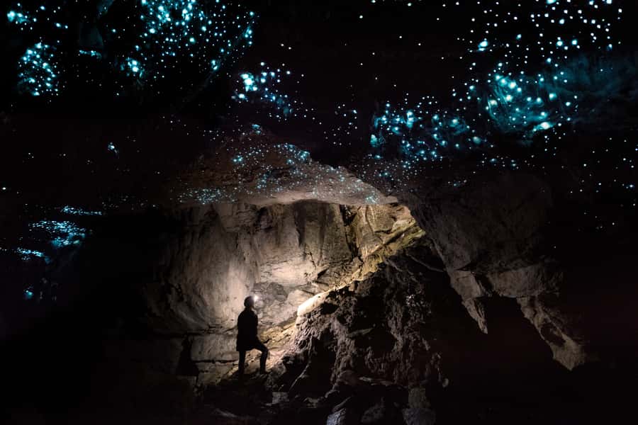 Waitomo: Guided Eco-Cave Tour - What Makes This Tour Different From the Crowds