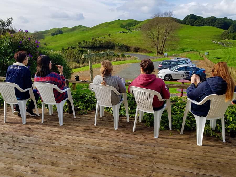 Waitomo: Guided Eco-Cave Tour - Timing: The 3.5-Hour Plan With a Clear Rhythm