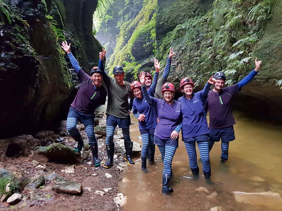 Waitomo: Guided Eco-Cave Tour - Price and Value: Is $130 Worth It?