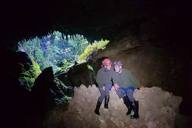 Waitomo’s Hidden Gem: Small-Group Off the Beaten Track Tour - Before You Go Underground: What the Bush and Gorge Walk Is Really Doing