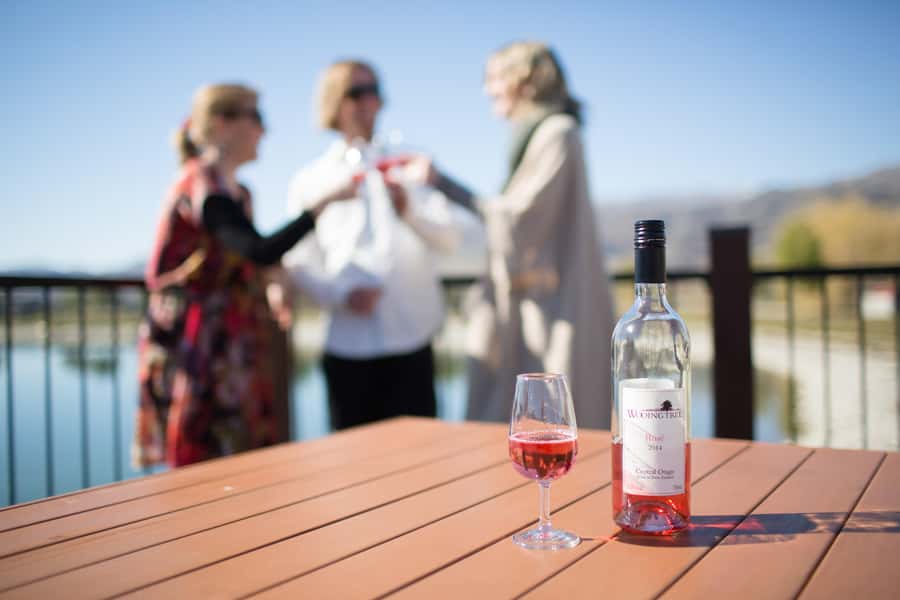 Wanaka: Afternoon Boutique Wine Tour - Why This Wanaka Afternoon Wine Tour Fits So Well