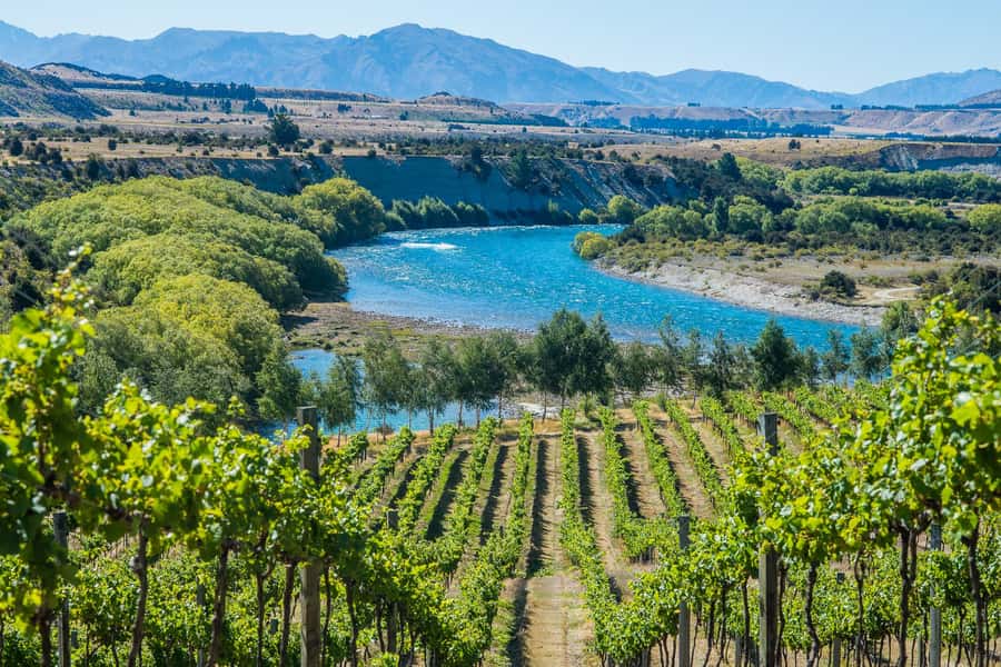 Wanaka: Afternoon Boutique Wine Tour - From Pickup to Winemakers: How the Tour Starts