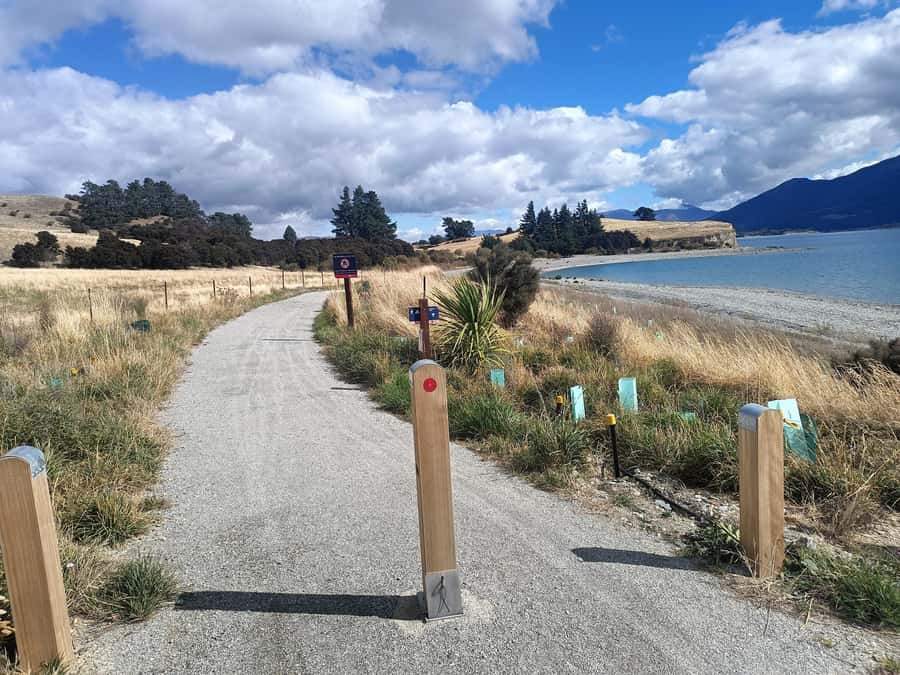 Wānaka And Hāwea: Trail Ride on Bike or E-Bike - Following the Clutha River back to Wānaka, with the moments that demand control