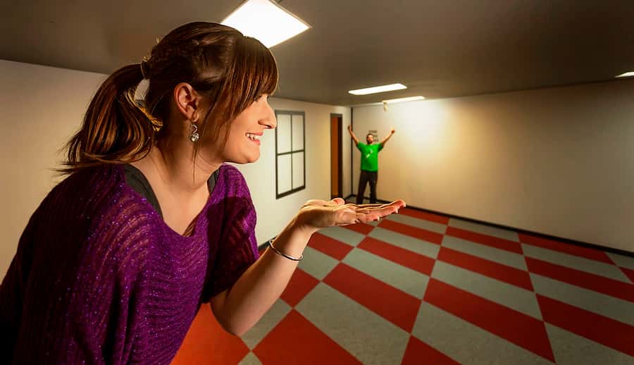 Wanaka: Combo Entry to Puzzling World - First stop: Tumbling Towers and the Leaning Tower photo path