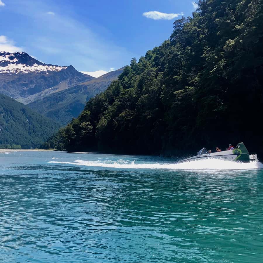 Wanaka: Jet Boat & Wilderness Walk - Timing and Meeting Point: How to Start Without Stress