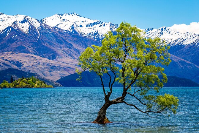 Wanaka Private Day Trip from Queenstown: TravelnGo - Key Things I’d Watch Before You Book