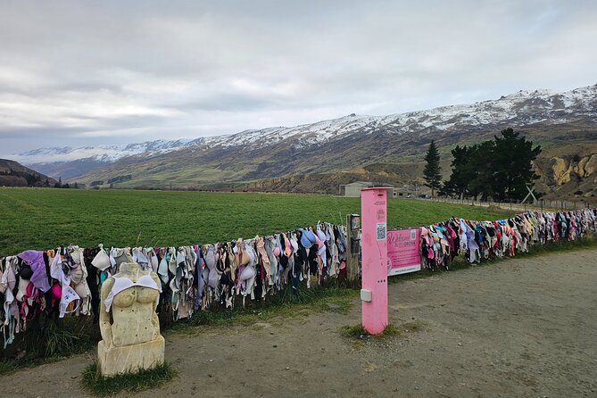 Wanaka Private Day Trip from Queenstown: TravelnGo - Private Day Trip From Queenstown That Actually Feels Flexible