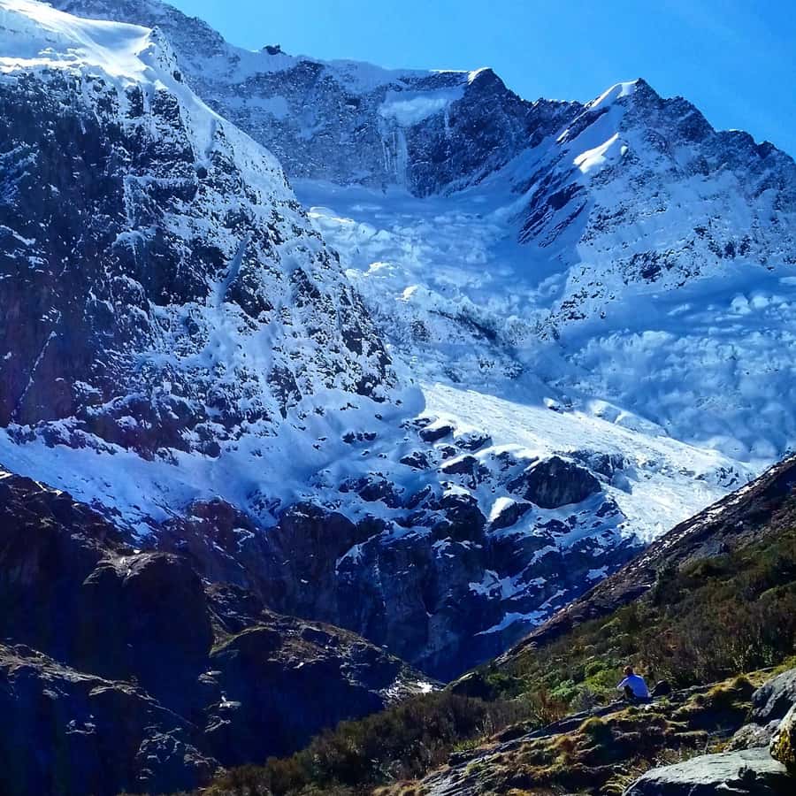 Wanaka: Rob Roy Glacier Guided Hike with Lunch - Key highlights you will feel right away