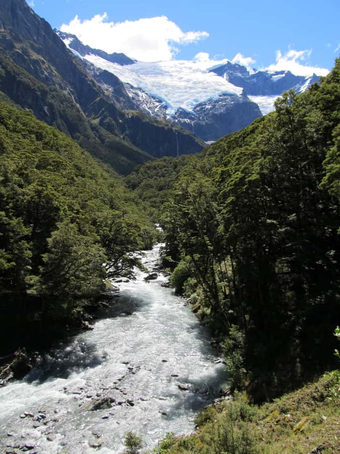 Wanaka: Rob Roy Glacier Guided Hike with Lunch - Should you book the Rob Roy Glacier guided hike with lunch?