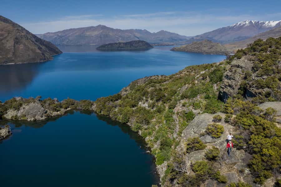 Wanaka: Water Taxi & Mou Waho Island Tour - Should you book this Wanaka Water Taxi and Mou Waho Island Tour?
