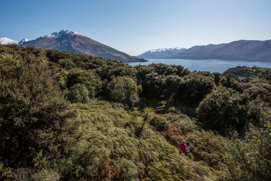 Wanaka Water Taxi Mou Waho Island Tour - Mou Waho Island Nature Reserve: Birds, Views, And That Arethusa Pool Focus