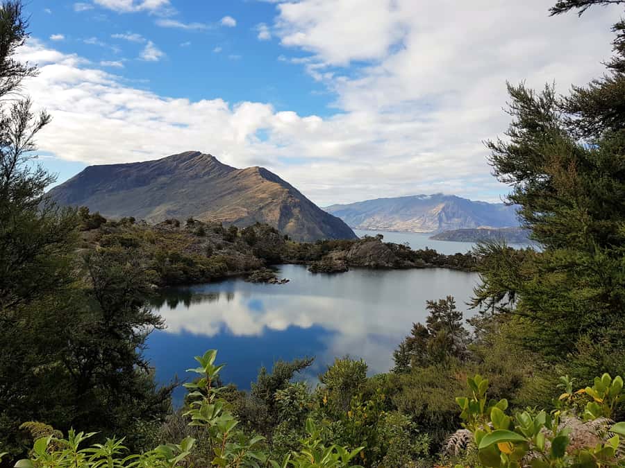 Wanaka Water Taxi Mou Waho Island Tour - The Walk Up: What The Steep Parts Feel Like (And How To Plan For Them)