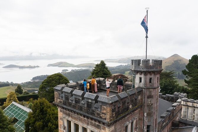 Water Taxi and Shuttle to Larnach Castle - Dunedin free time at Steamer Basin: what you can do with it