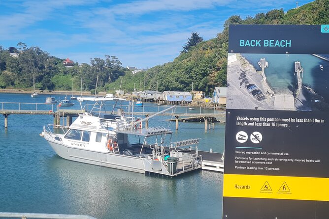 Water Taxi and Shuttle to Larnach Castle - The Otago Peninsula drive: short, scenic, and practical