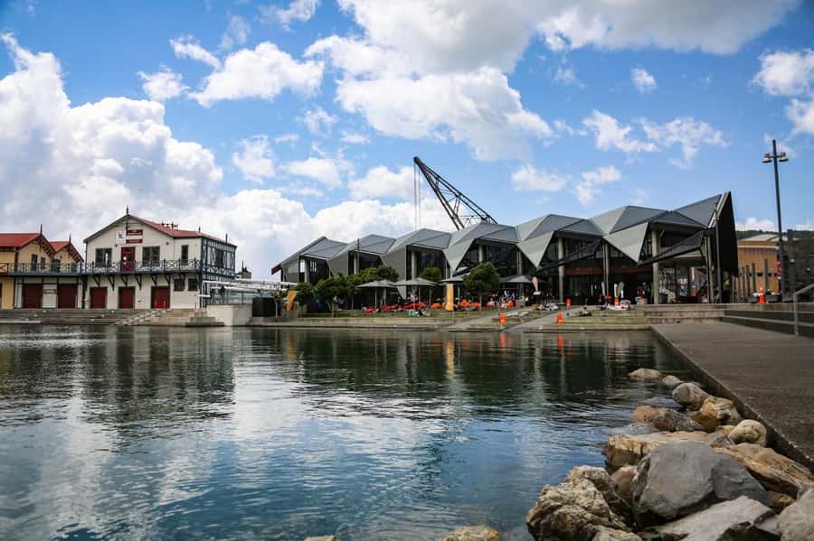 Wellington: 3 Hour Walking Food Tour - Key highlights you should care about