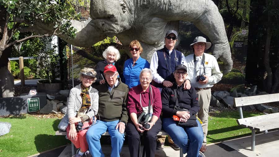 Wellington: Cave to Coast Highlights Guided Tour - Lunch at a seaside cafe: a proper break, not a rushed snack