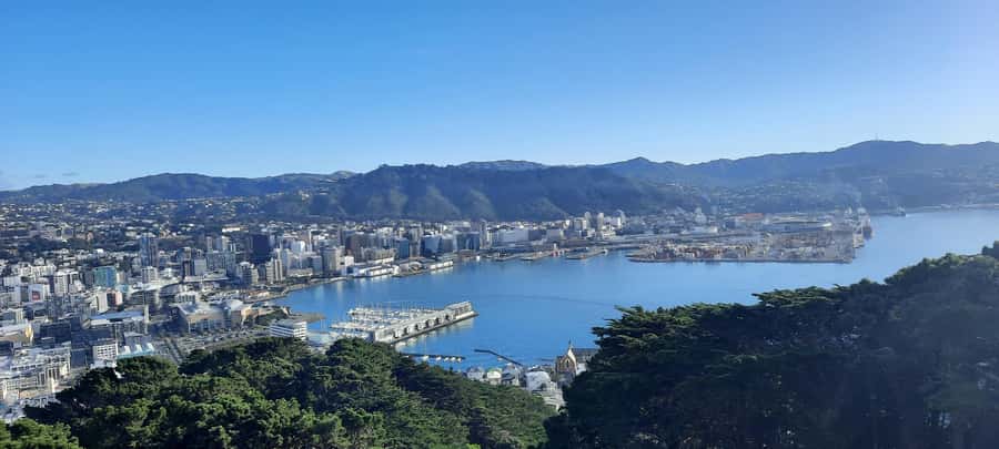 Wellington: Cave to Coast Highlights Guided Tour - Pickup and timing: how the plan stays doable