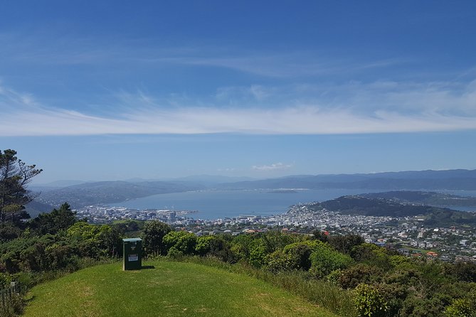 Wellington Cave to Coast Highlights Tour (5 Hours with Lunch) - A tight 5-hour loop of Wellington’s best viewpoints