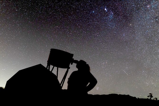 Wellington Cave to Coast Highlights Tour (5 Hours with Lunch) - Te Kopahou Visitor Centre and Cook Strait views on a learning stop
