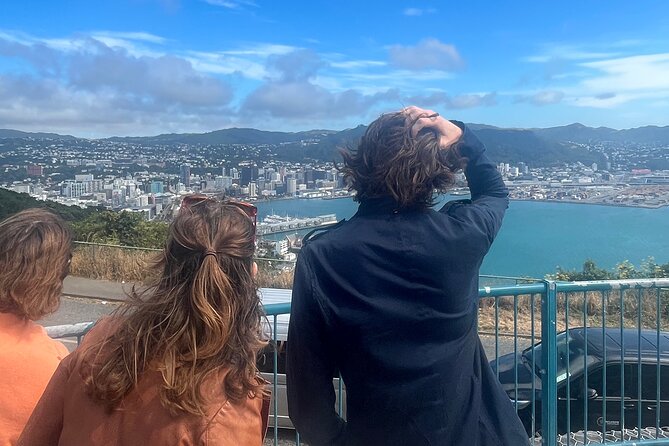 Wellington City and Sea: Private Tour in Electric Tesla SUV - Scorching Bay lunch: the part you will actually remember