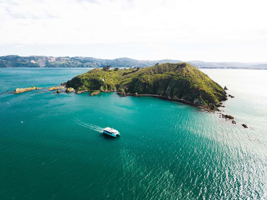 Wellington: Commentated Harbour Explorer tour - Meet Ika Rere, Wellington’s electric harbour ferry