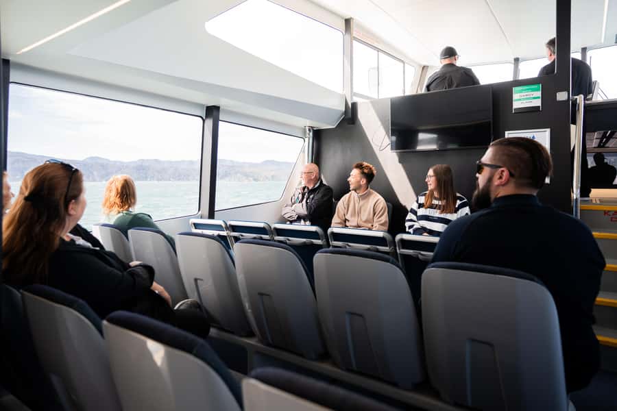 Wellington: Commentated Harbour Explorer tour - Natural environment spotting, and why route changes can help