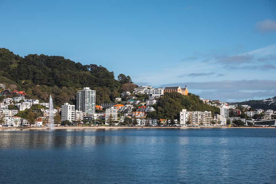 Wellington: Commentated Harbour Explorer tour - Price and value: is $41 for 90 minutes a smart buy?