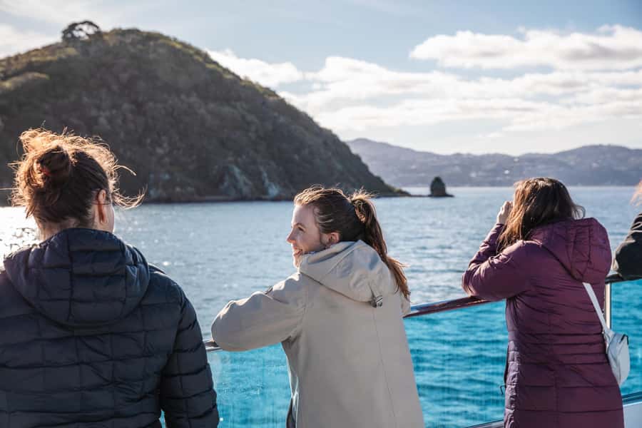 Wellington: Commentated Harbour Explorer tour - Who should book this electric harbour explorer tour