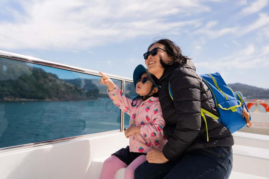 Wellington: Commentated Harbour Explorer tour - When things go off plan, what you can expect