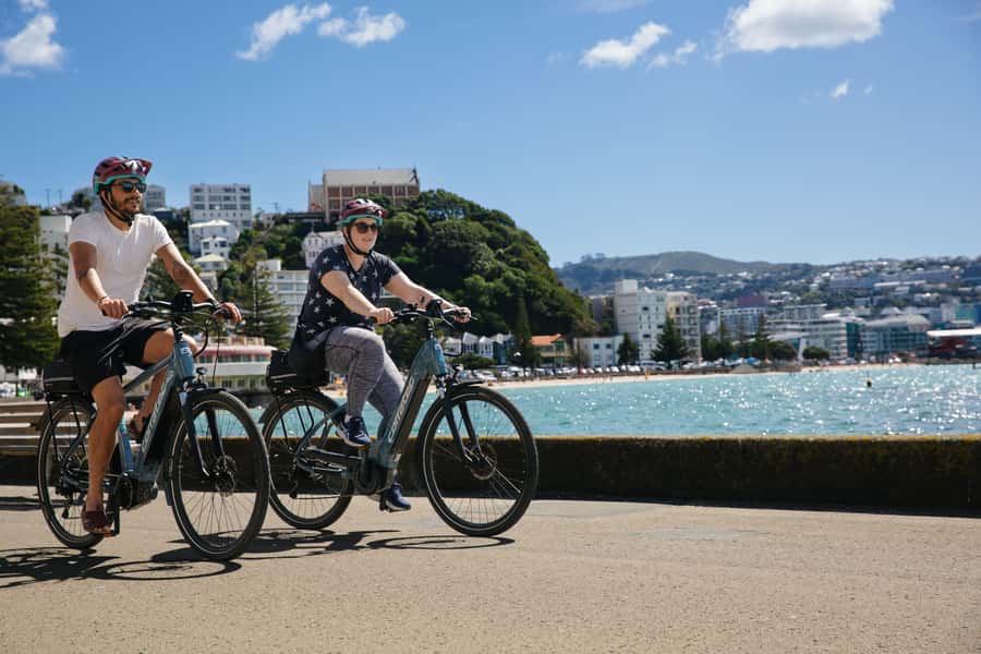 Wellington: Easy Rider Guided eBike Tour - Wellington Waterfront by eBike, without the road stress