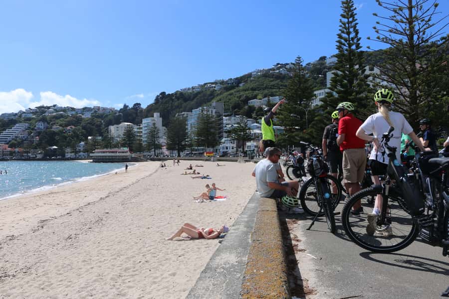 Wellington: Easy Rider Guided eBike Tour - Oriental Bay and the Seven Sisters moment