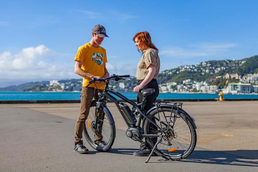 Wellington: Easy Rider Guided eBike Tour - Easy pace riding, plus what you still need to be comfortable with