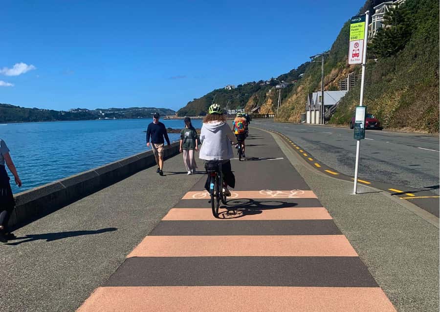 Wellington Electric Bike Rental - Price and Value: How $52.75 Fits a Real Itinerary