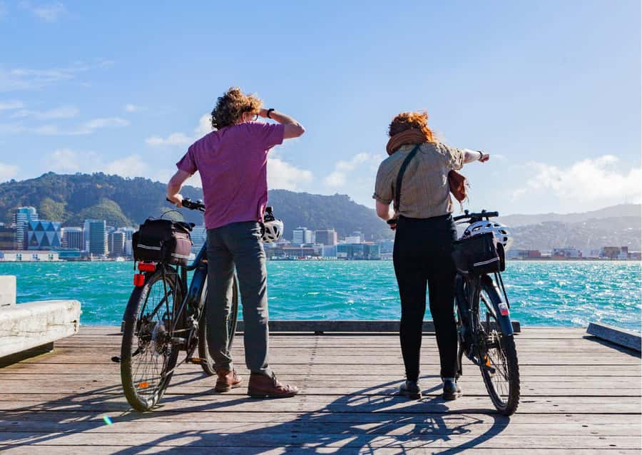 Wellington Electric Bike Rental - The e-bike Feel: Pedal-Assist That Handles Wellington Hills