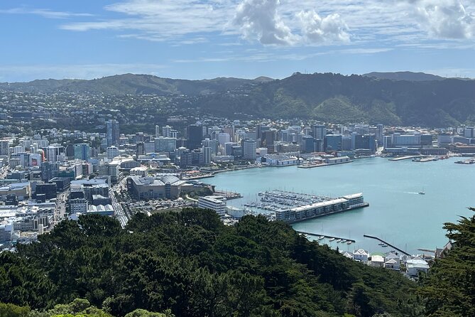 Wellington Full Day Private Tour in Electric Tesla SUV - Key highlights you can count on