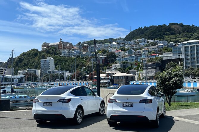 Wellington Full Day Private Tour in Electric Tesla SUV - Price and value, what $245.13 per person really buys
