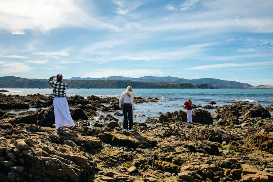 Wellington: Guided City Tour with Cable Car Ticket - Key Highlights and Why They Matter