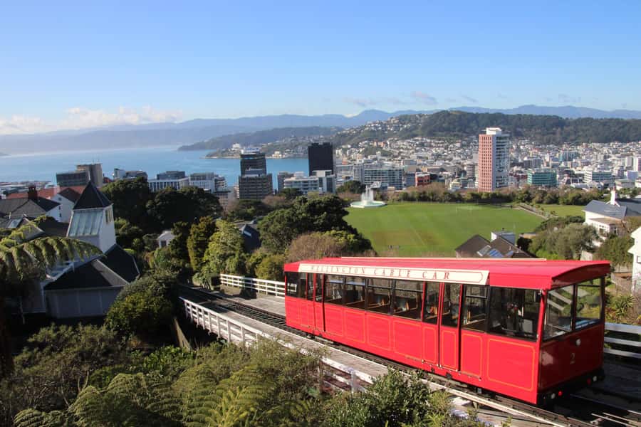 Wellington: Guided City Tour with Cable Car Ticket - Wellington Sign and South Coast photo stop: big harbour views, weather permitting
