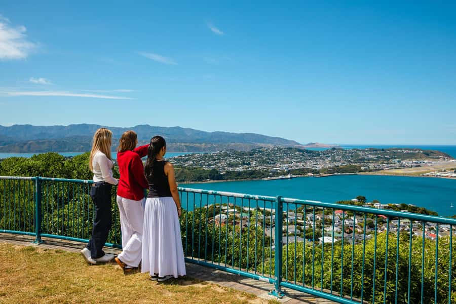 Wellington: Guided City Tour with Cable Car Ticket - Under the airport runway to Mt Victoria Lookout