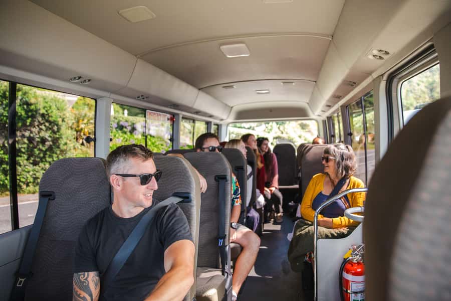 Wellington: Guided City Tour with Cable Car Ticket - Courtenay Place to Cuba Street: coffee, craft beer culture, and quick local tips